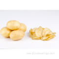300kg/ H Potato Chips Production Line